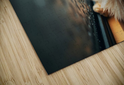 Pomeranian Puppy Watches First Raindrops Fall Puppy Prints puzzle