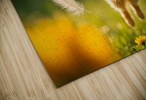 Feather Lands On Happy Pomeranian Puppy Puppy Prints puzzle