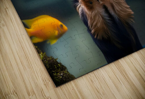 Yorkshire Terrier Puppy Discovers Amazing Aquarium World Puppy Prints puzzle