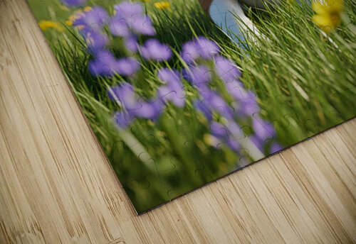 Bulldog Puppy Ready For Takeoff Adventure Puppy Prints puzzle