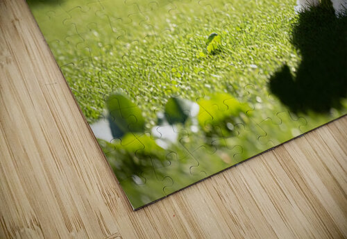 Poodle Puppy Discovers Shadow Play On Sunny Day Puppy Prints puzzle