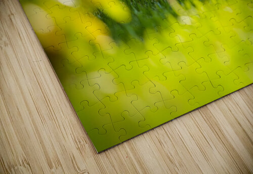 Golden Retriever Puppy Detective Begins Investigation Puppy Prints puzzle