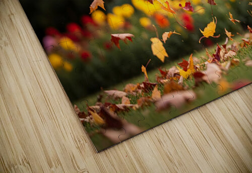 Pug Puppy Rests After Wind Play Puppy Prints puzzle