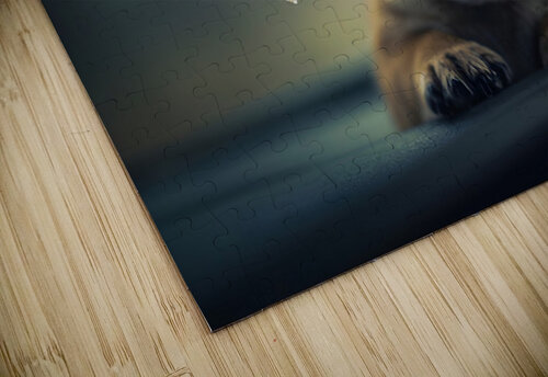 Content Pug Puppy Settles Down To Watch Rain Puppy Prints puzzle