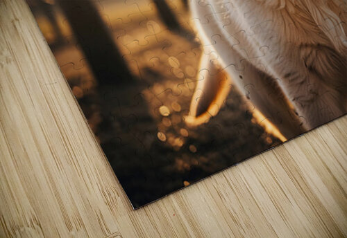 Golden Retriever Puppy Discovers Farm Haystack Adventure Puppy Prints puzzle