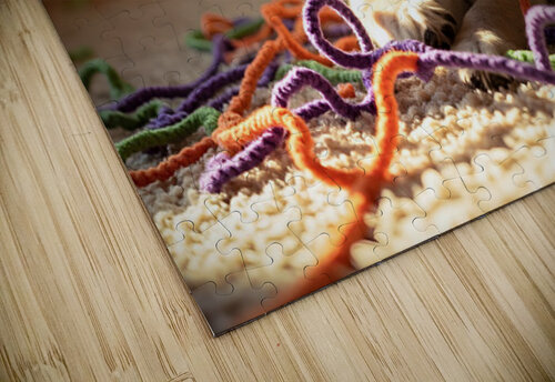 Golden Retriever Puppy Discovers Colorful Yarn Ball Puppy Prints puzzle