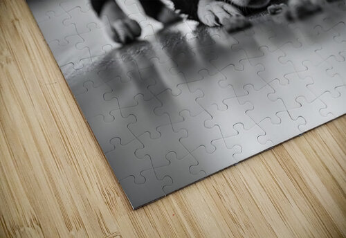 Excited Boston Terrier Puppy Emerges From Shopping Bag Discovery Puppy Prints puzzle