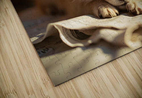 Alert Pomeranian Ready For Adventure Puppy Prints puzzle