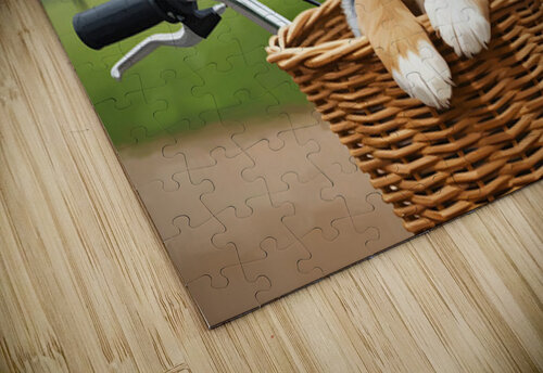 Happy Australian Shepherd Puppy Enjoys Bicycle Ride Puppy Prints puzzle