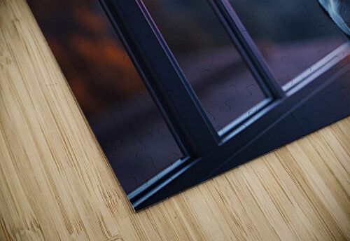 Boston Terrier Puppy Gets Special Collar Puppy Prints puzzle