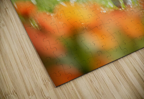 Corgi Puppy Discovers The Magical Water Fountain Puppy Prints puzzle