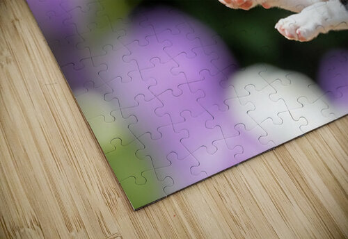 Boston Terrier Puppy Spots Butterfly In Garden Puppy Prints puzzle