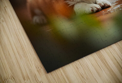 Corgi Puppy Takes Shelter From Heavy Rain Puppy Prints puzzle