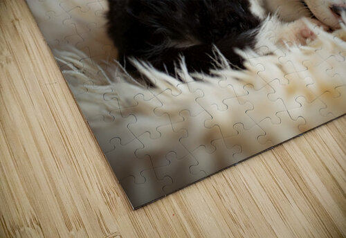 Happy Border Collie Puppy Enjoys Perfect Evening By The Fire Puppy Prints puzzle