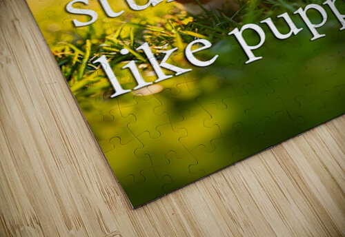 Learn from Stumbles Like Puppies Puppy Prints puzzle