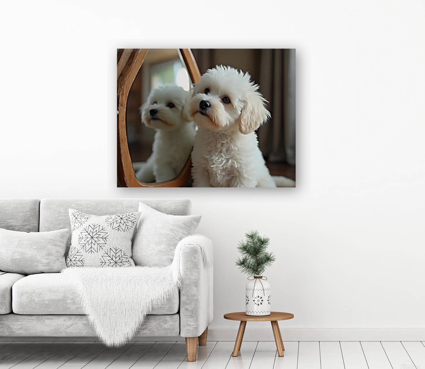 Thoughtful Bichon Frise Puppy Contemplates Its Mirror Reflection Reproduction
