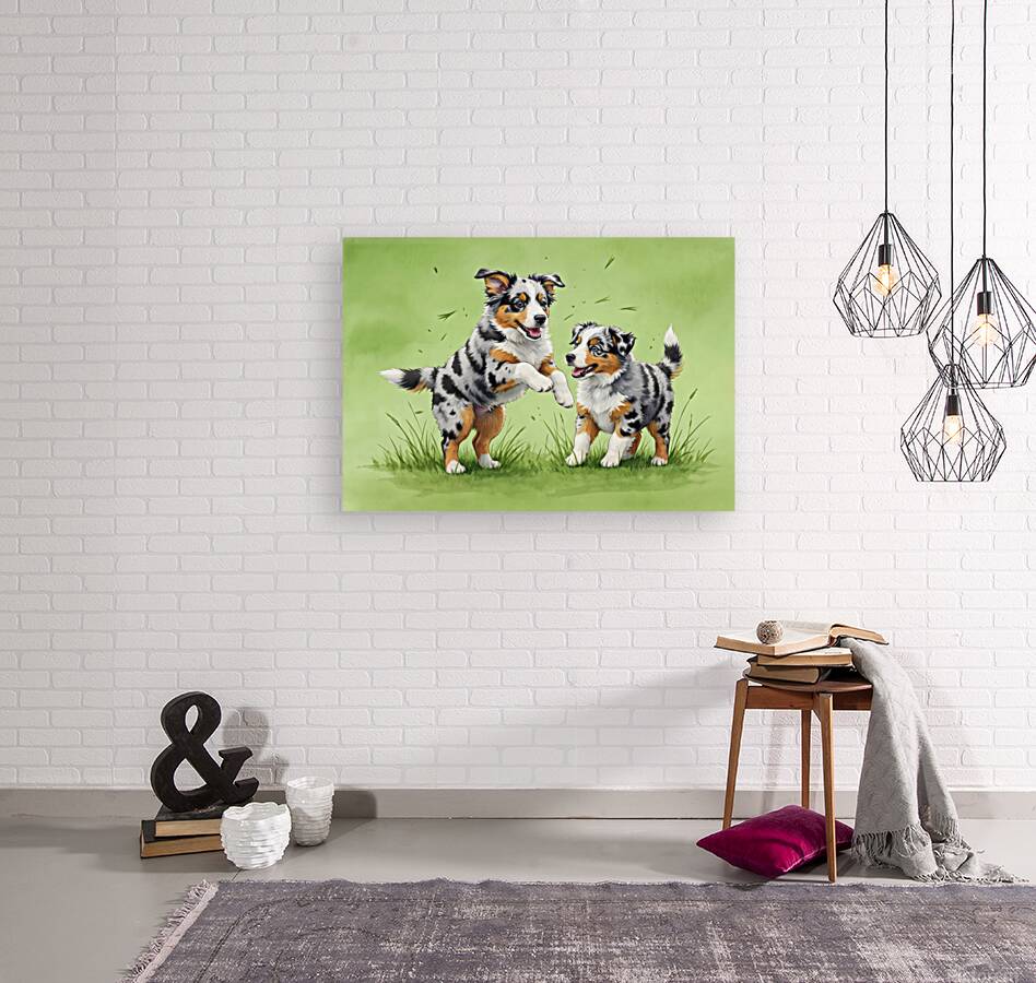 Blue Merle Australian Shepherd Puppies Playing Together Reproduction