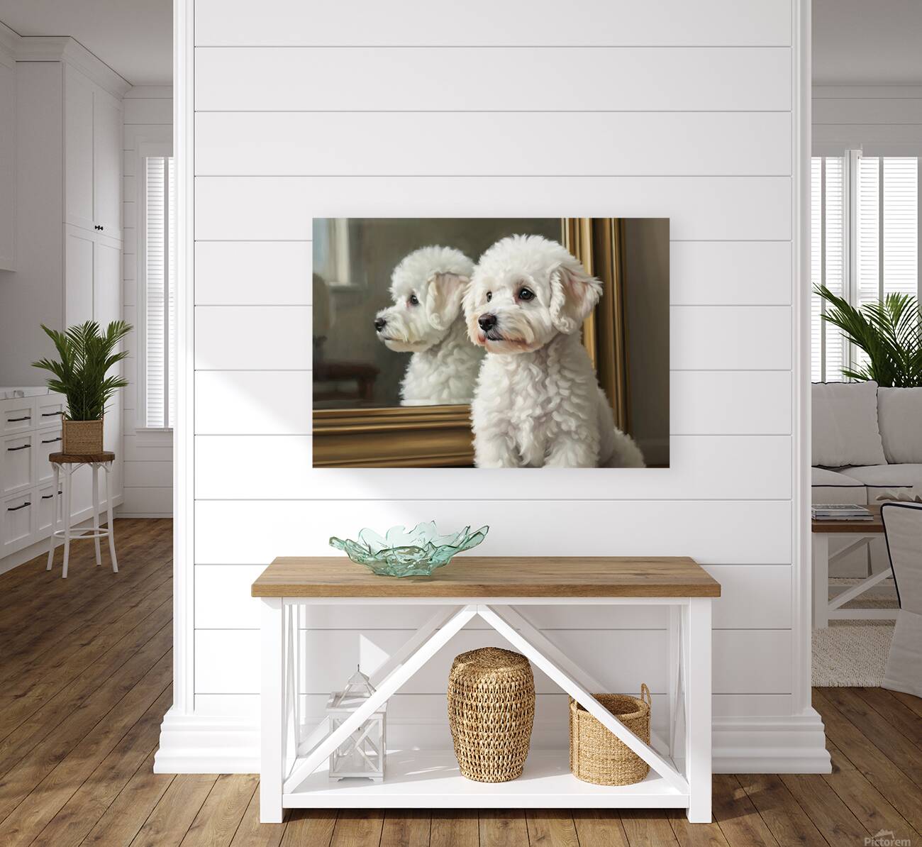 White Bichon Frise Puppy Contemplates Its Reflection Reproduction