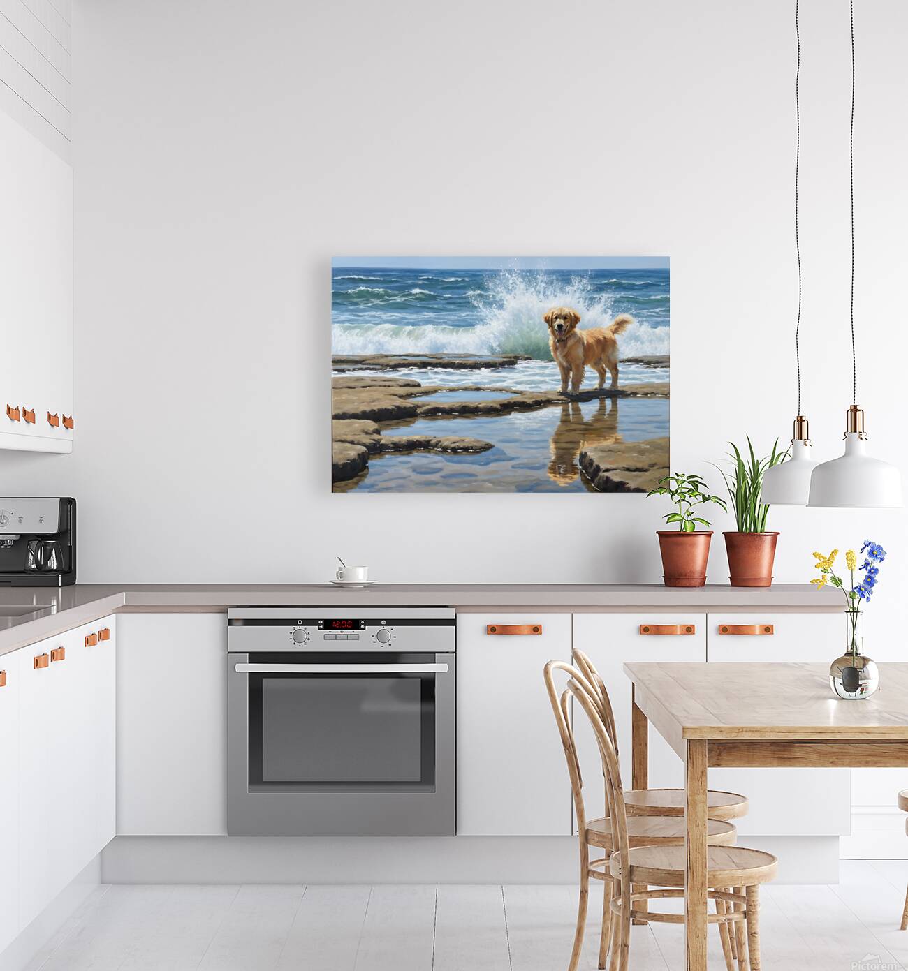 Golden Retriever Puppy Discovers Tide Pools Reproduction