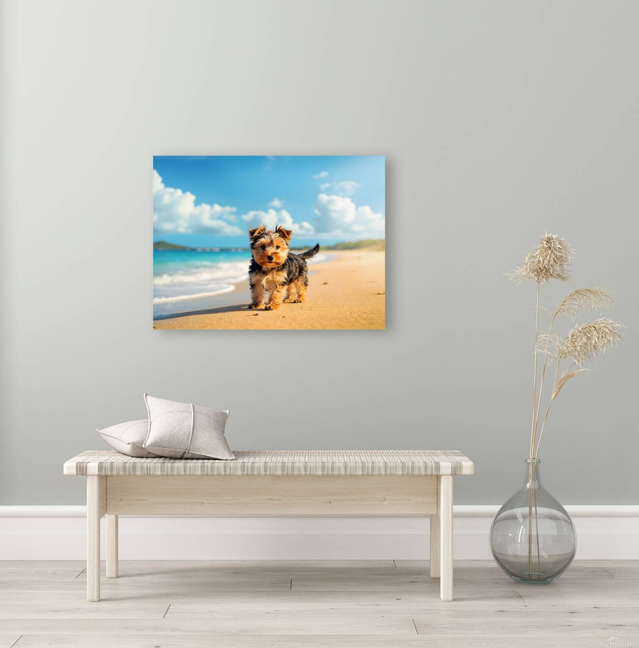 Yorkshire Terrier Puppy Discovers The Beach Reproduction