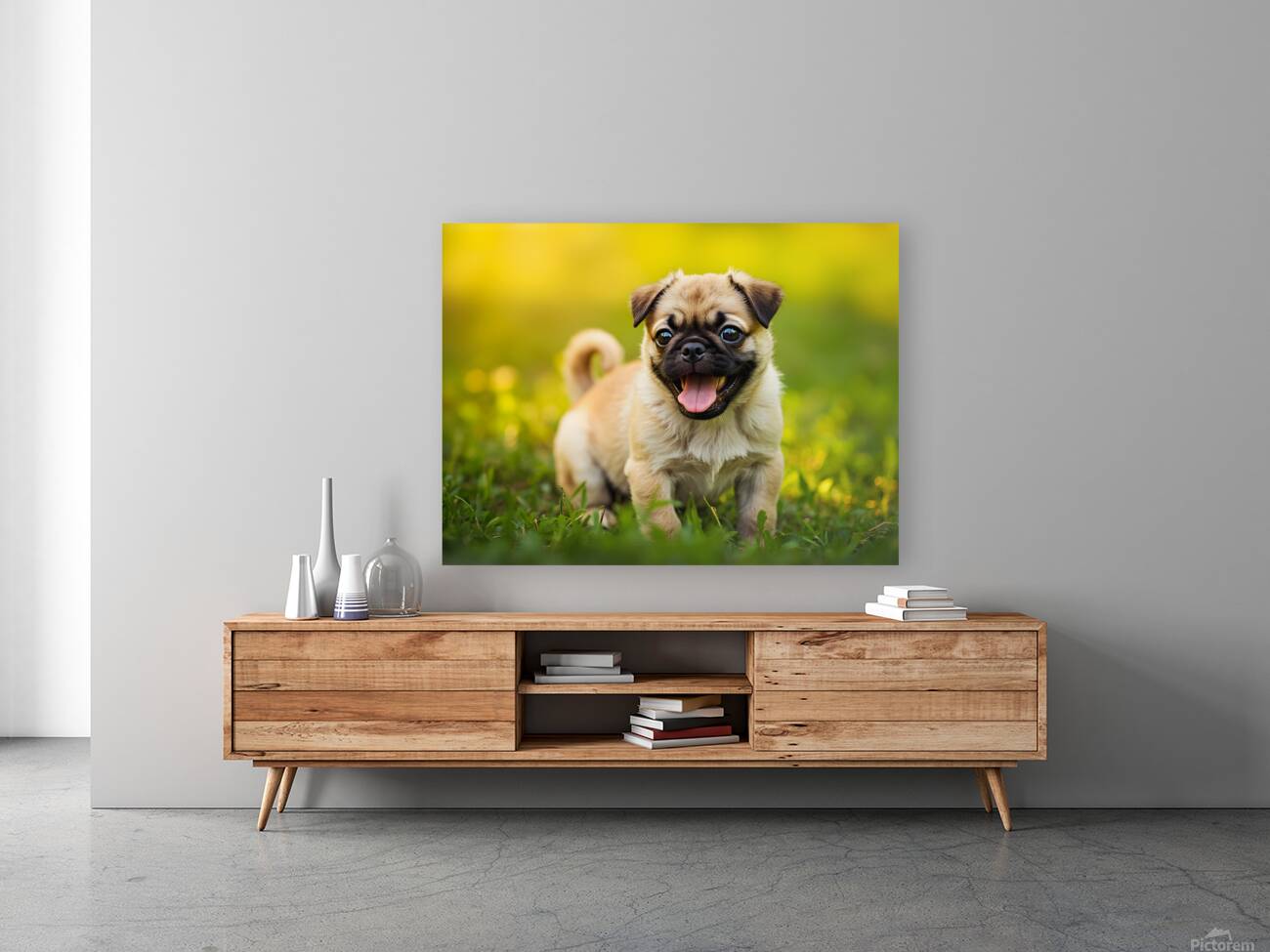 Pug Puppy Successfully Completes Stay Command Reproduction