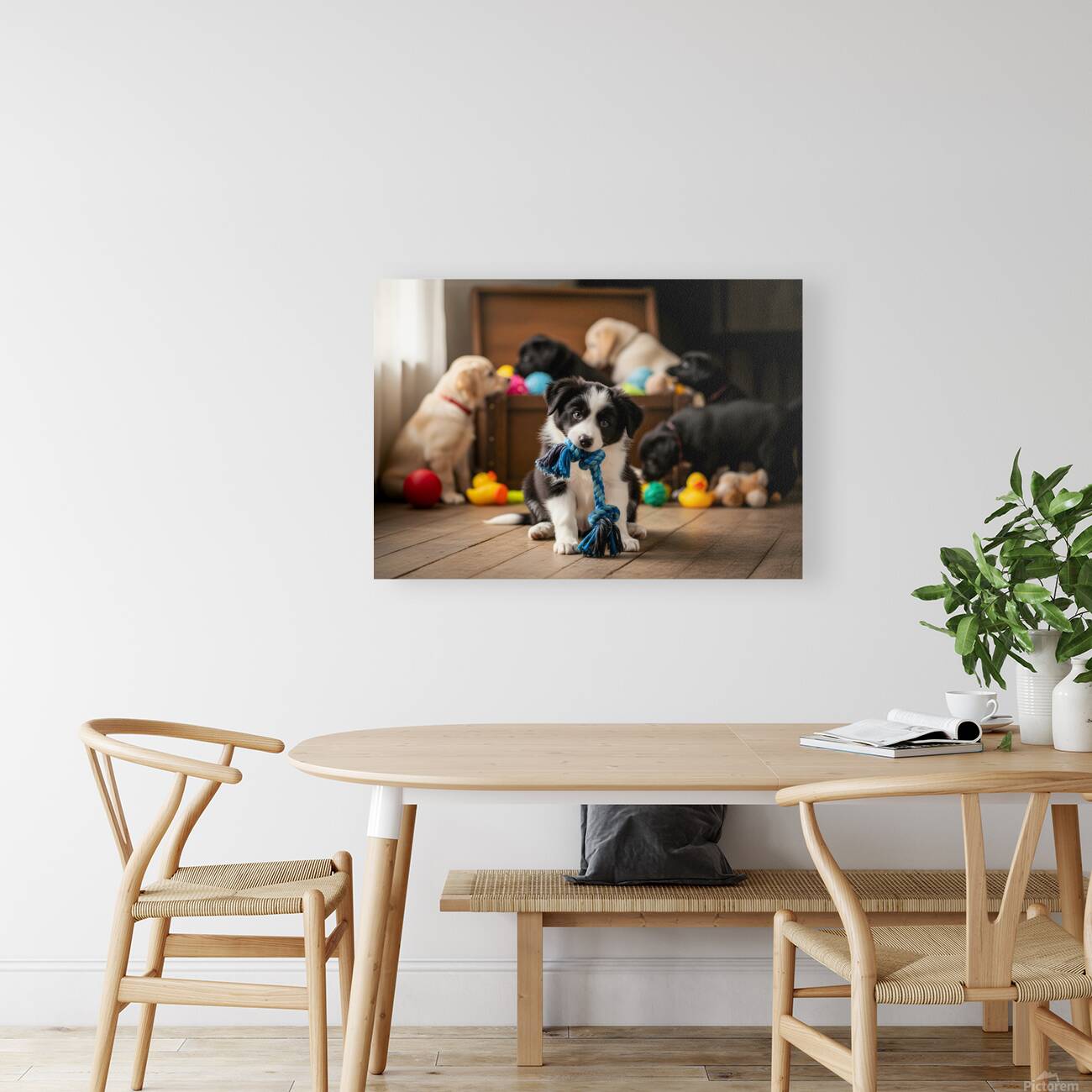 Border Collie Puppy Enjoys Playing With New Rope Toy Reproduction