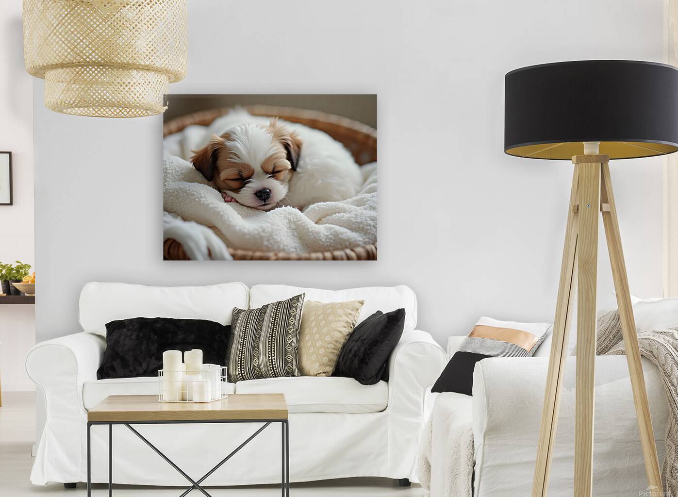 Peaceful Shih Tzu Puppy Sleeps In Cream Towels Reproduction