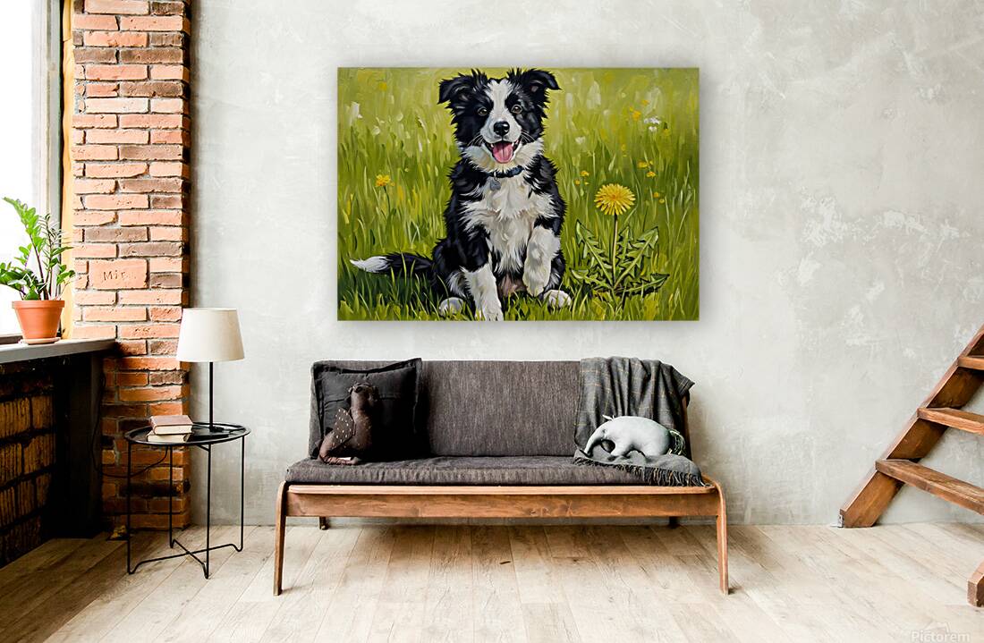 Happy Border Collie Puppy After Dandelion Discovery Reproduction