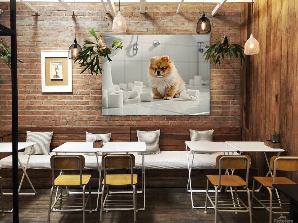 Pomeranian Puppy Discovers Toilet Paper Roll Reproduction