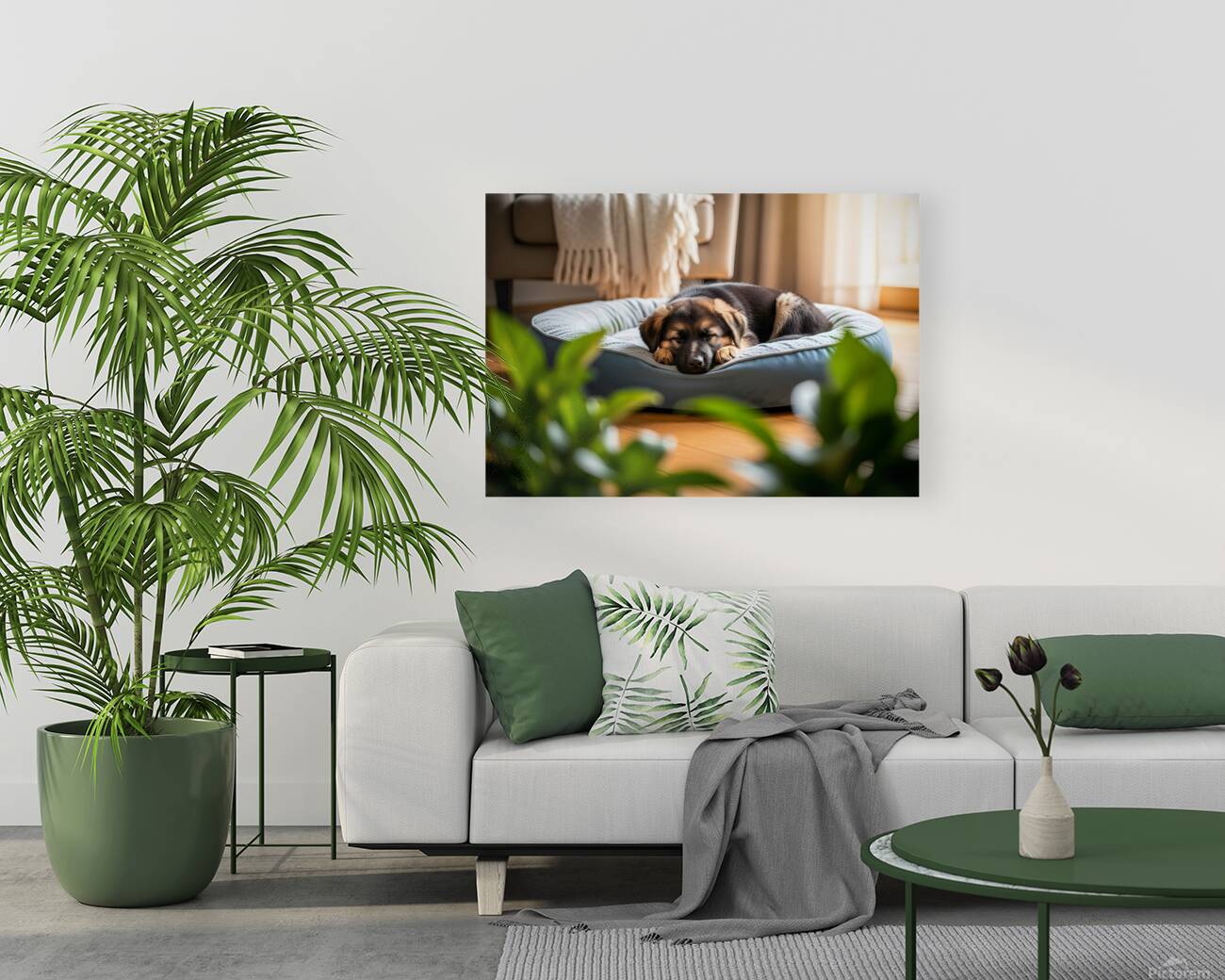 German Shepherd Puppy Getting Sleepy In Cozy Bed Reproduction