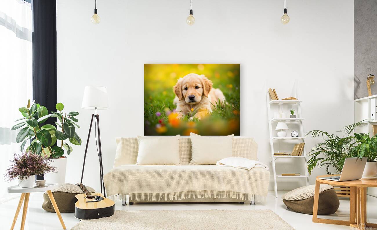 Golden Puppy Discovers The Perfect Stretch Position Reproduction