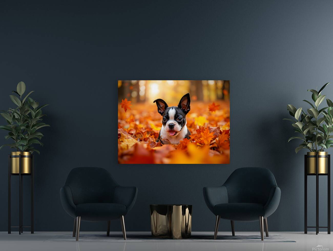 Boston Terrier Puppy Discovers Autumn Leaf Pile Reproduction
