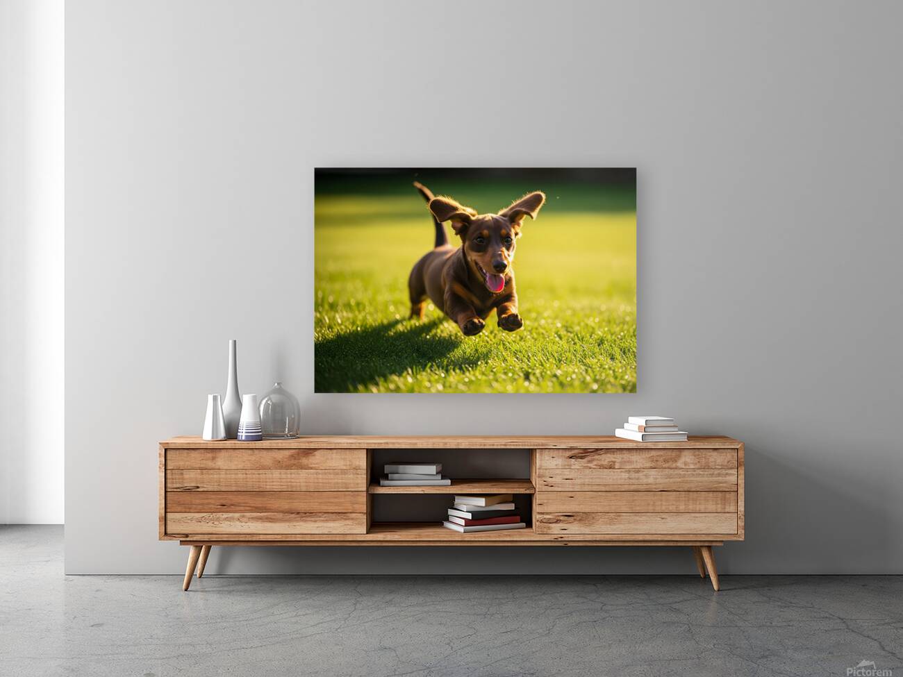 Happy Dachshund Puppy Celebrates Training Success Reproduction