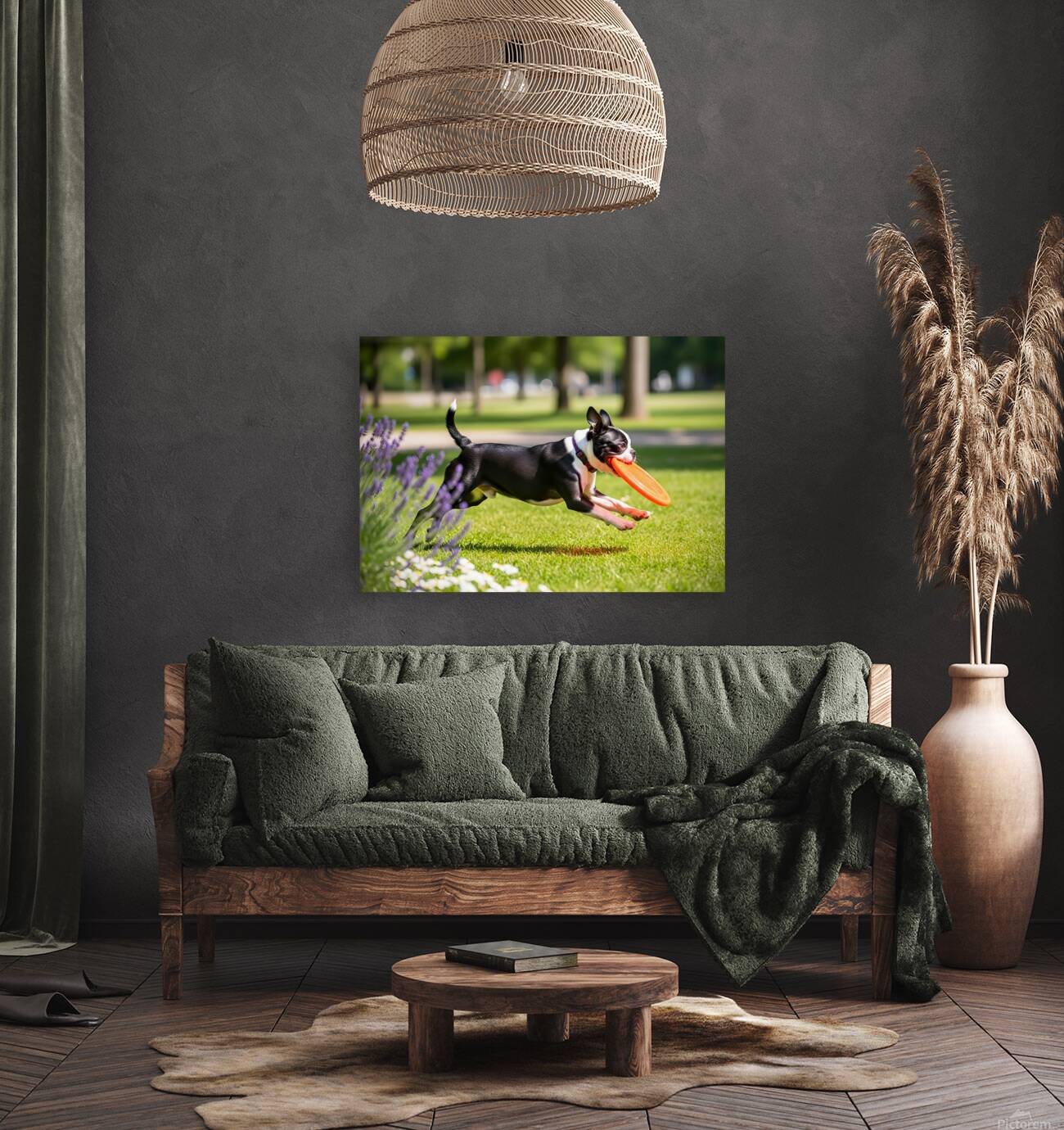 Proud Boston Terrier Puppy Lands With Caught Frisbee Reproduction