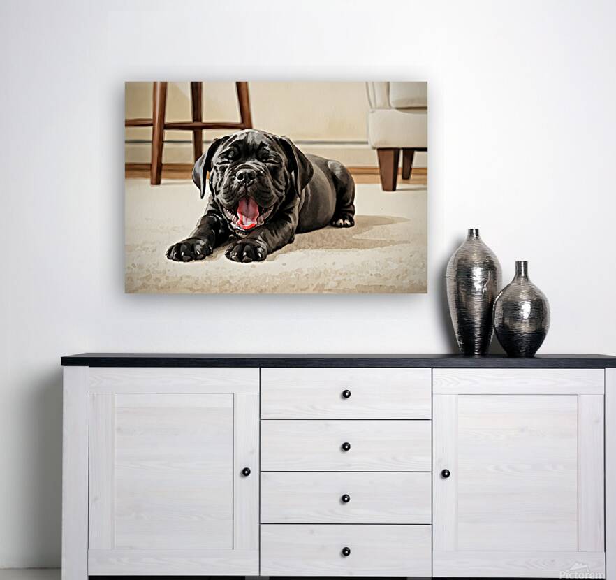 Cane Corso Puppy Stretches After Peaceful Nap Reproduction