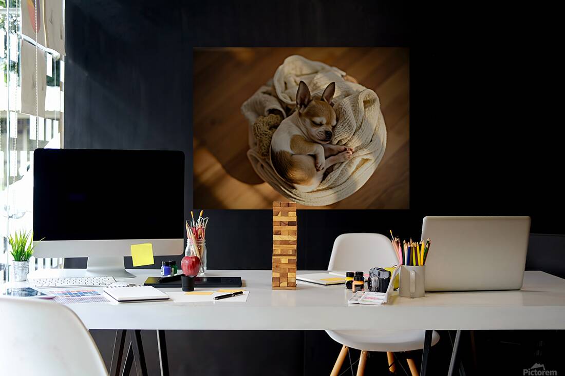 Chihuahua Puppy Naps On Laundry Pile Reproduction