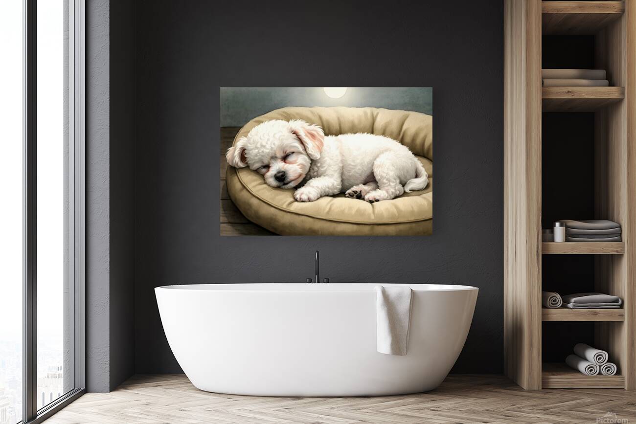 Bichon Frise Puppy Dreams Peacefully Reproduction