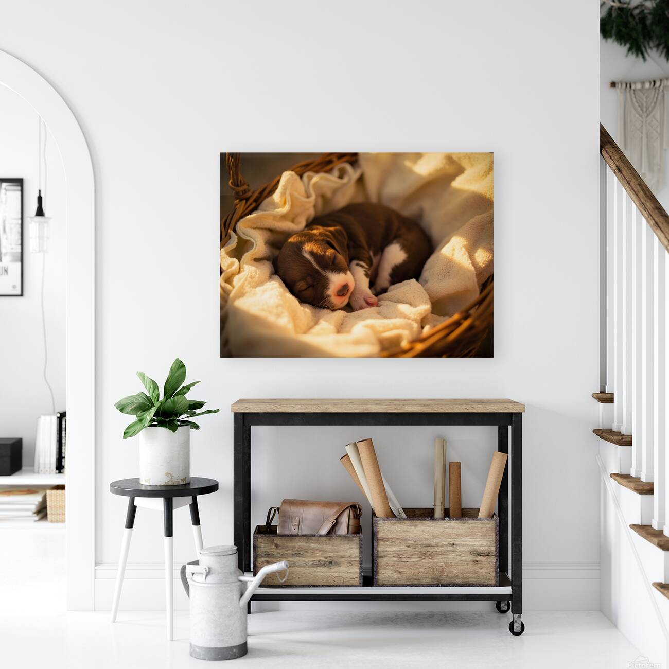 German Shorthaired Pointer Puppy Dreams Peacefully Reproduction