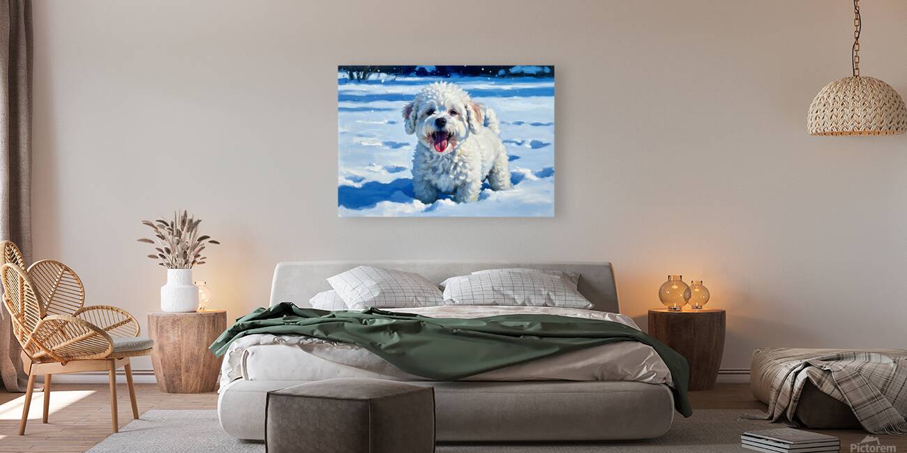 Happy Bichon Frise Puppy Rests After Snow Play Reproduction