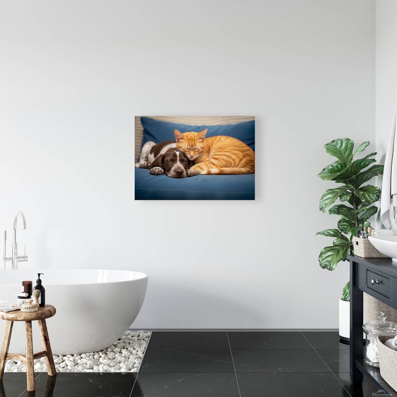 Puppy And Cat Snuggle Together Peacefully Reproduction