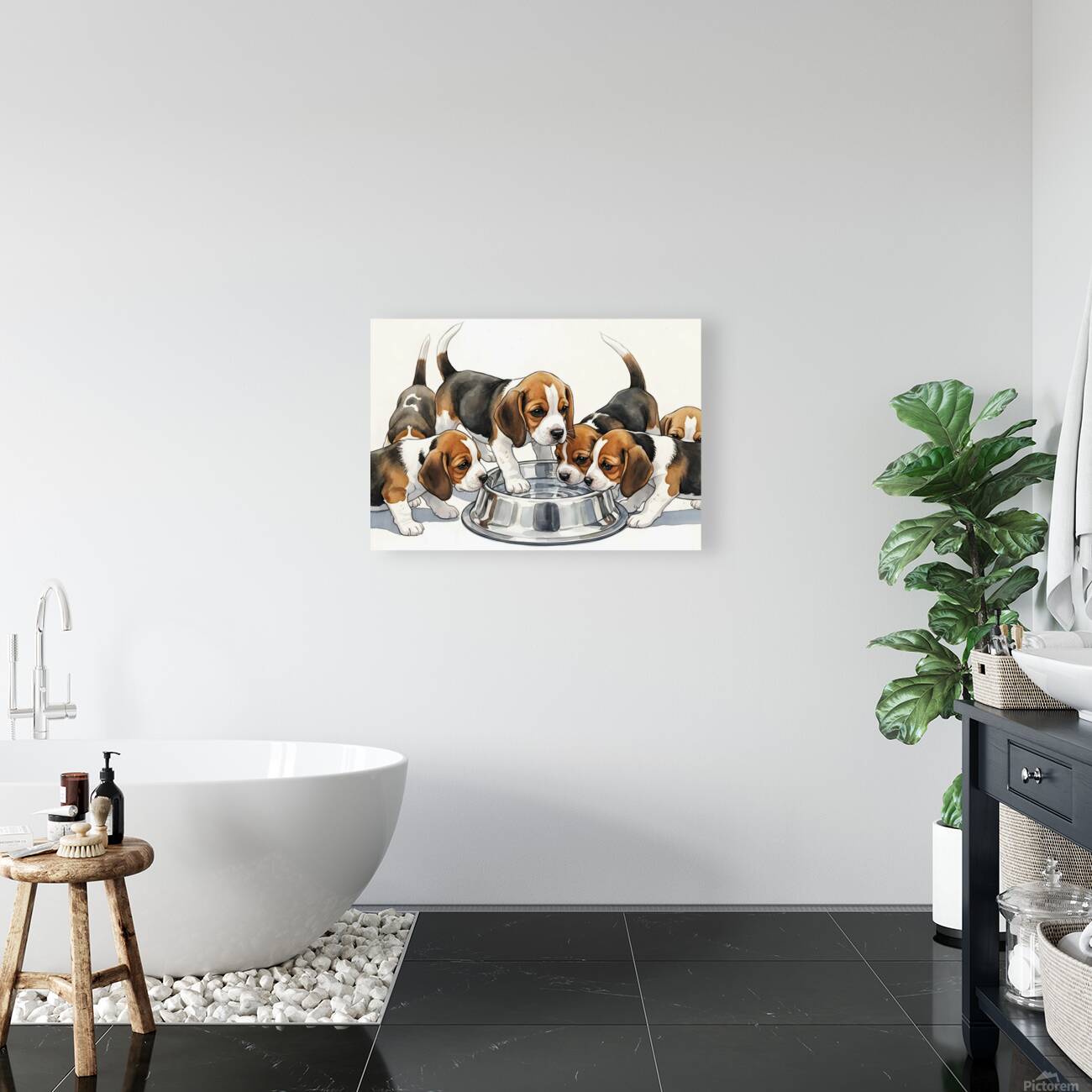 Beagle Puppy Approaches The Crowded Water Bowl Reproduction