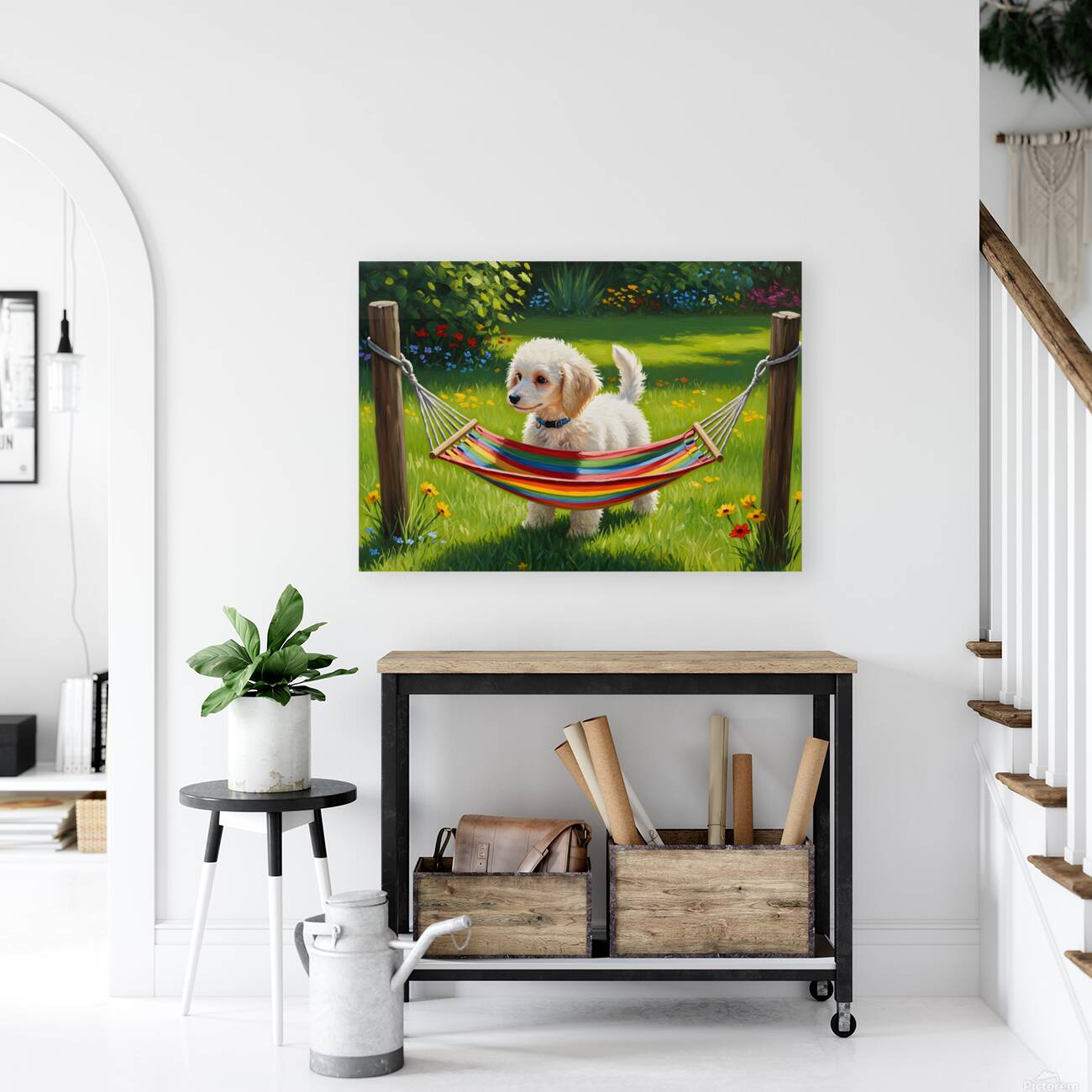 Poodle Puppy Discovers Tiny Hammock Reproduction