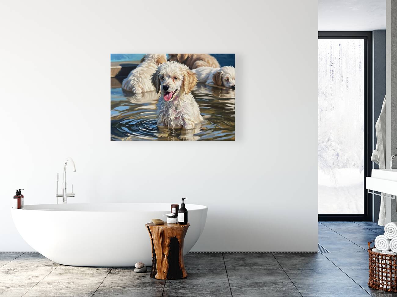 Poodle Puppy Cooling Off In A Pond Reproduction