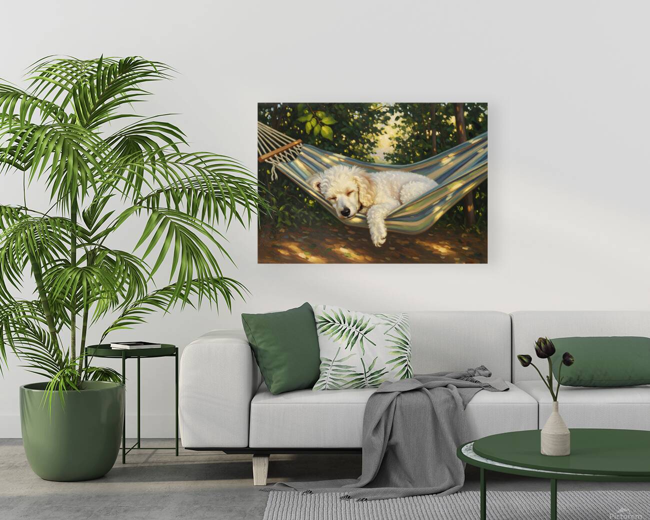 Poodle Puppy Naps In Hammock Reproduction