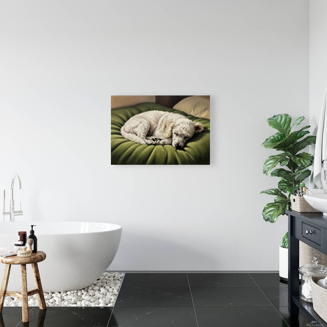 Poodle Puppy Dreams On Green Padded Bed Reproduction