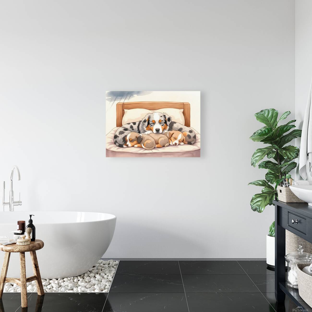 Sleepy Australian Shepherd Puppy Rests After Storm Reproduction