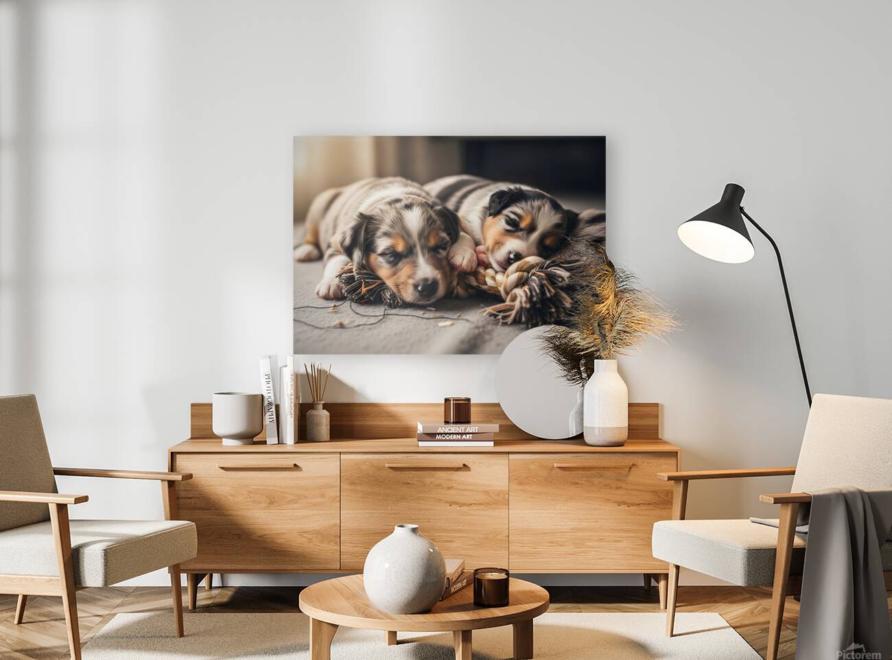 Australian Shepherd Puppy Rests After Playtime Reproduction