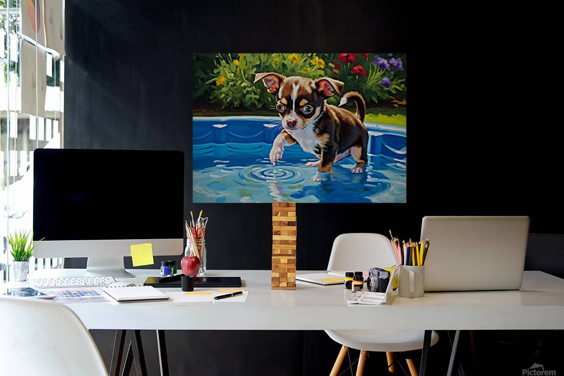 Chihuahua Puppy Discovers The Pool Reproduction