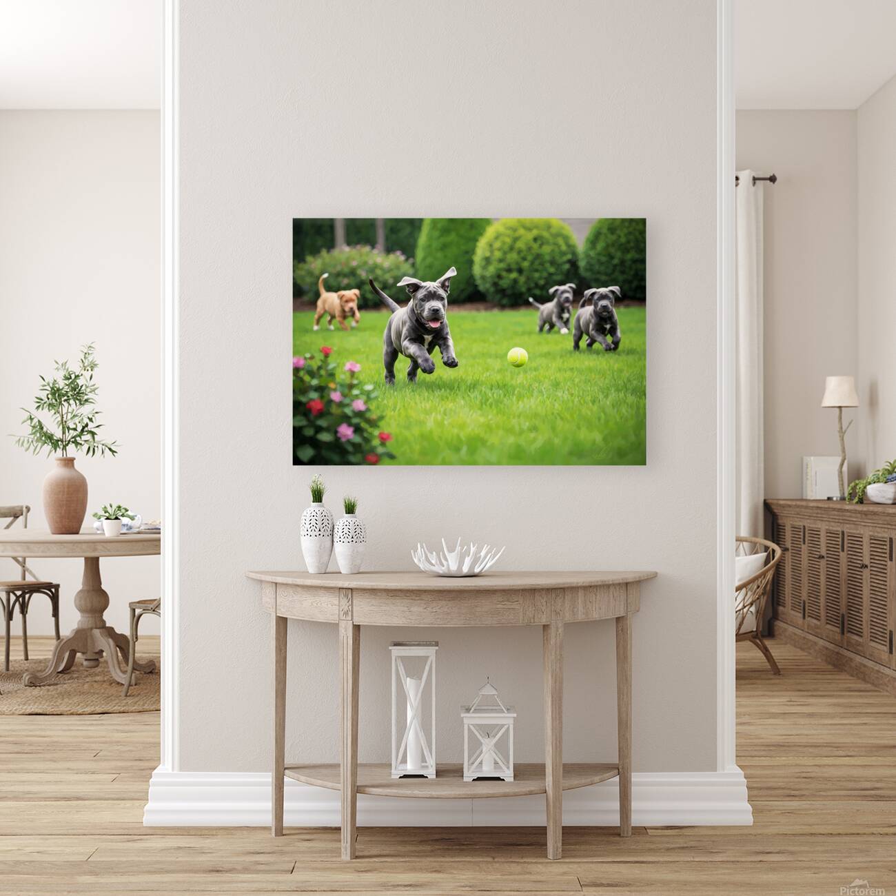 Cane Corso Puppy Spots The Perfect Tennis Ball Reproduction