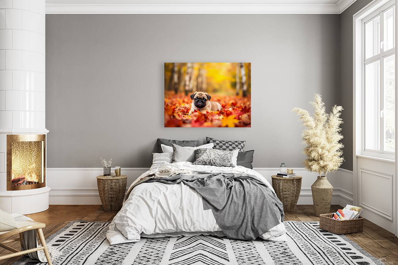 Pug Puppy Crowned With Autumn Leaf Victory Reproduction